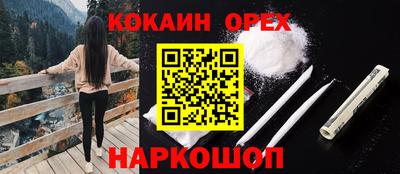 сатива Кудымкар