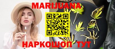 сатива Кудымкар