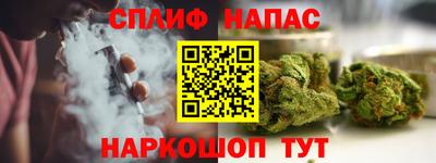 сатива Кудымкар