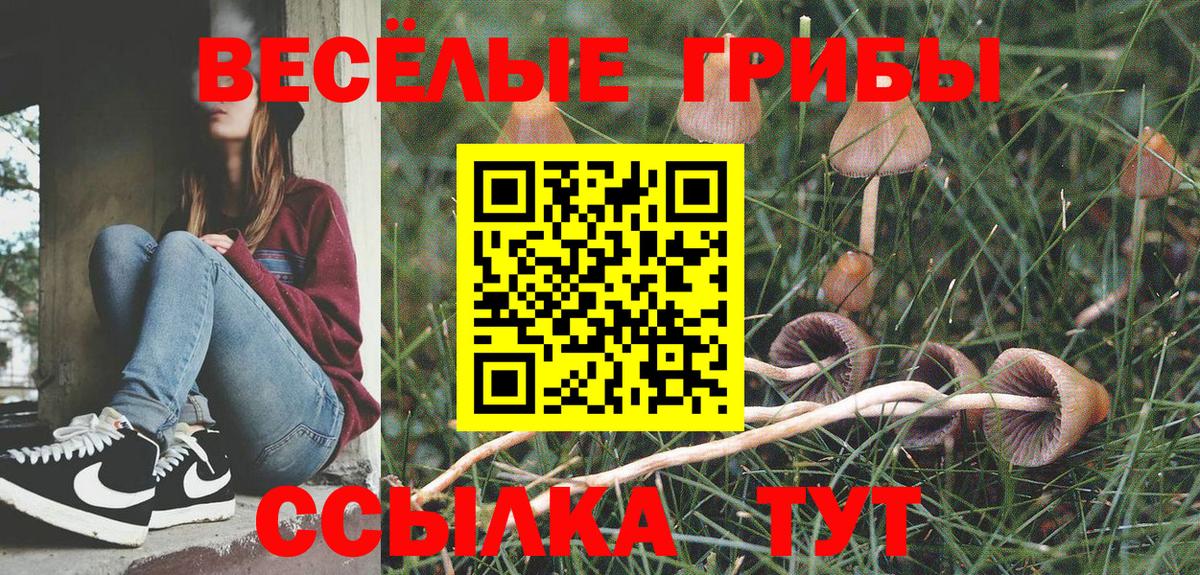 Галлюциногенные грибы Magic Shrooms  Вход с VPN  Кушва 
